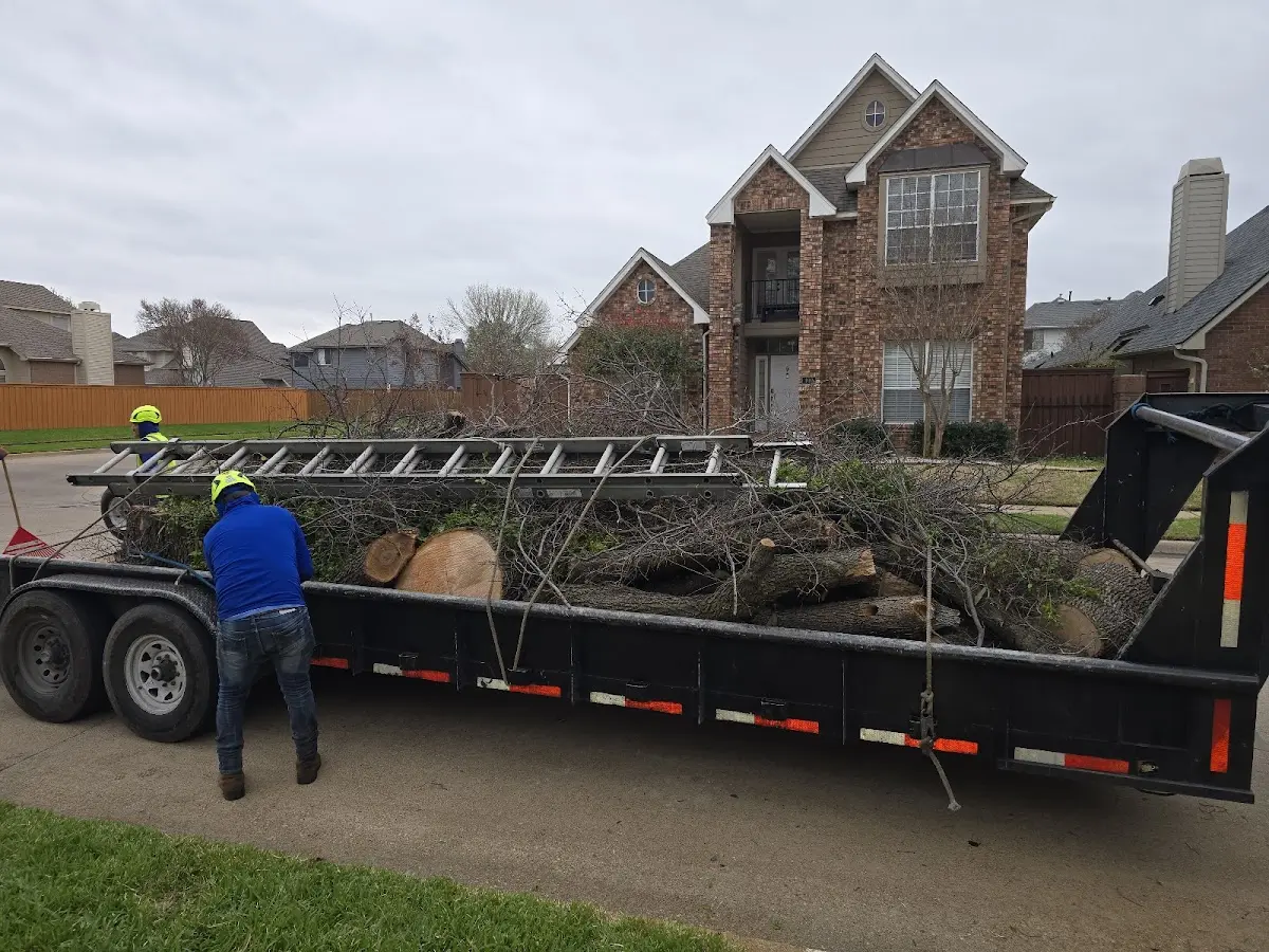 Expert Tree Fertilization with proper safety equipment in Nixa